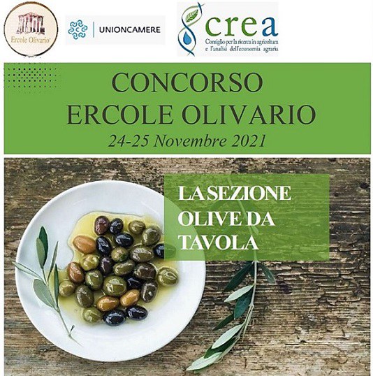 Concorso Nazionale Ercole Olivario Sezione Olive Da Tavola Prima